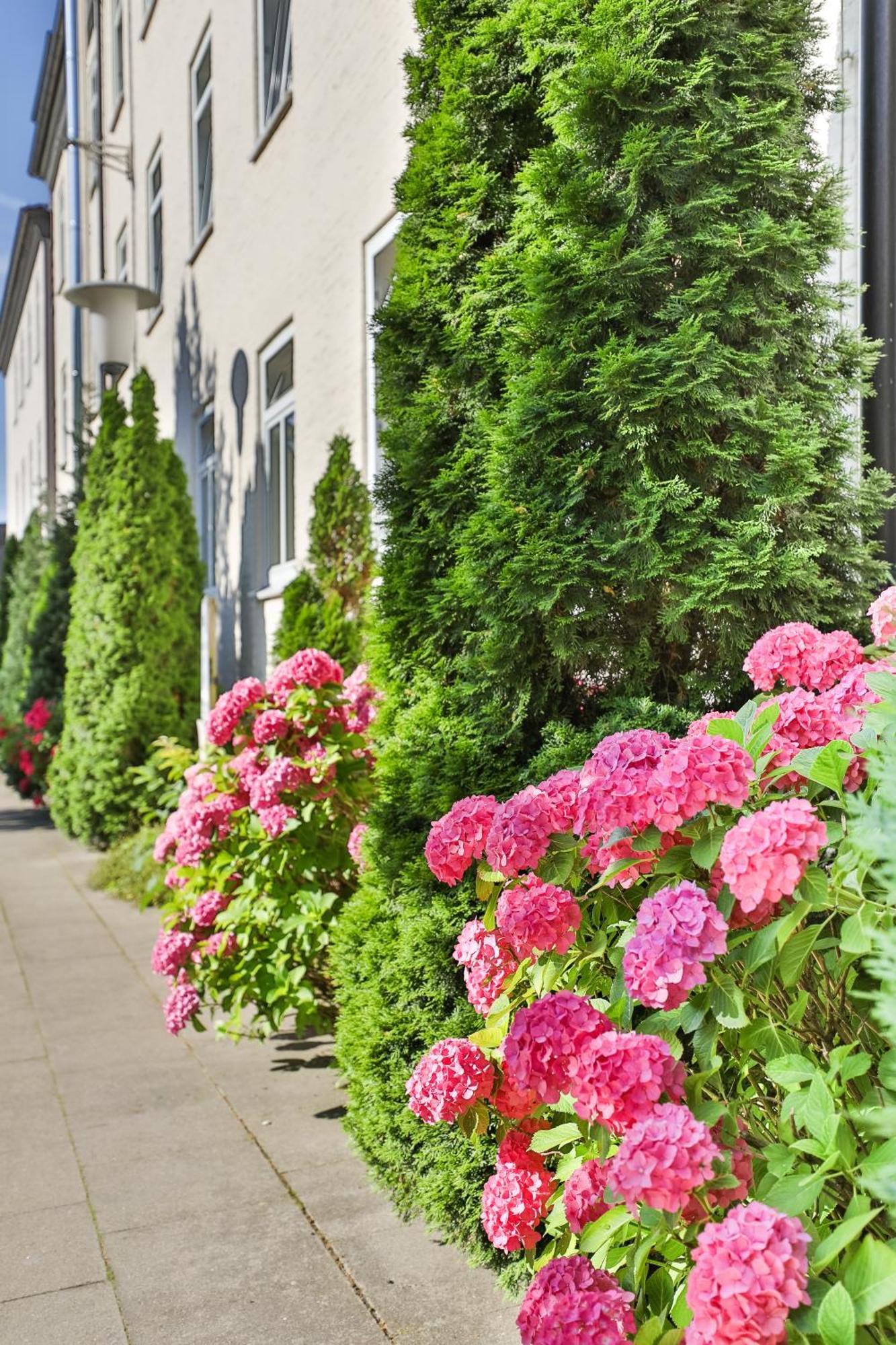 Lejlighedshotel Berne